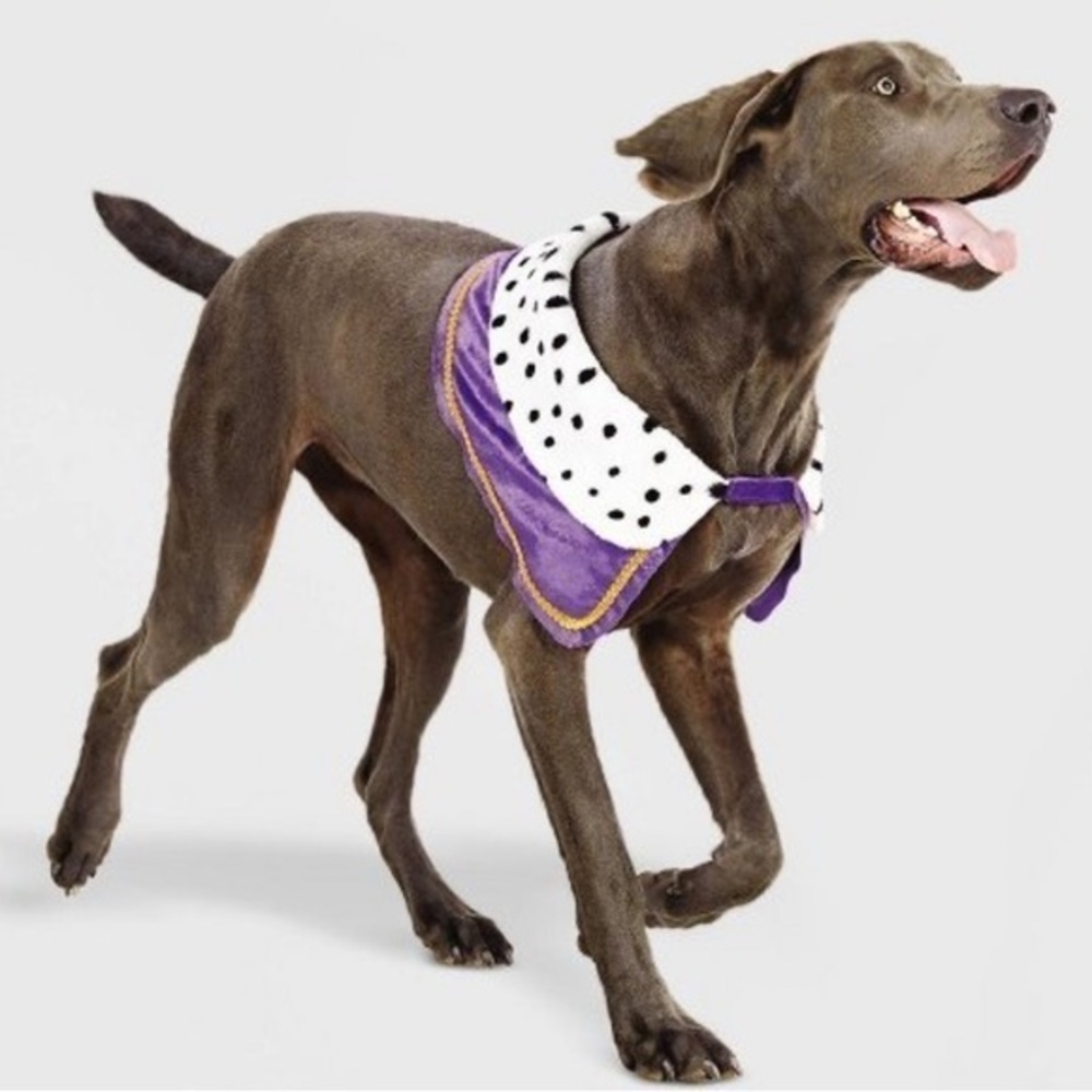 Target Hyde Eek Royalty Dog Cape Pet Halloween King Queen Costume L/XL